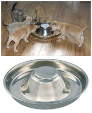 Huisdier Hond Kat Nest Eten Zilveren Roestvrij Voerbakje Schotel