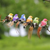 12PCS Mini Tuinieren Kleurrijke Kunstmatige Vogel Set Decoratief Ornament